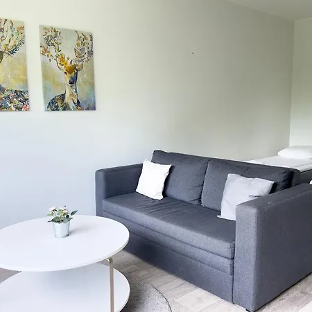 Cozy Centre شقة *